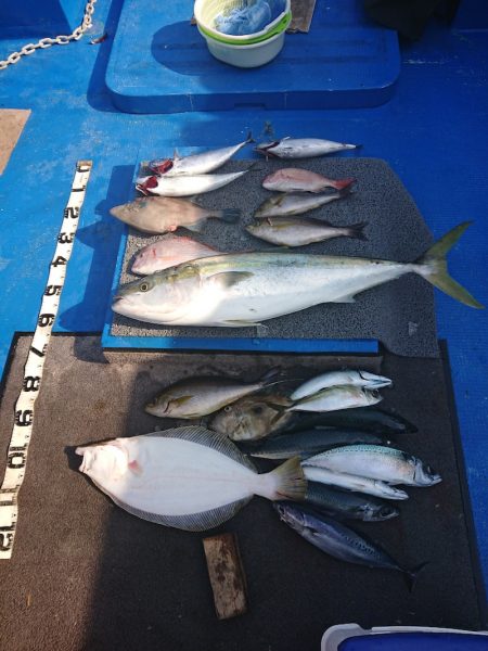 清和丸 釣果