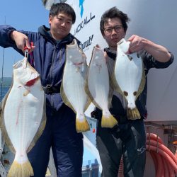 シーランチ 釣果