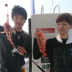 ありもと丸 釣果