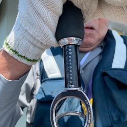 シーランチ 釣果