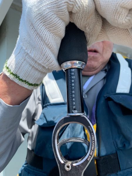 シーランチ 釣果