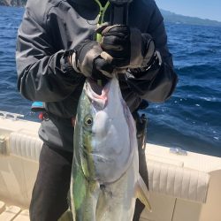 海友丸 釣果