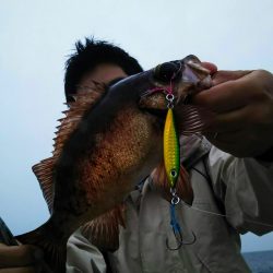 光生丸 釣果