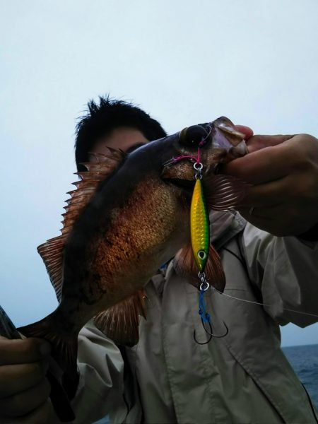 光生丸 釣果