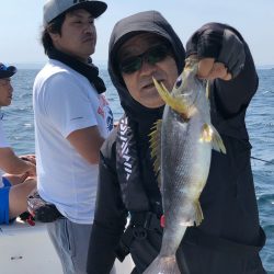 「LaGooN」蒼陽丸 日和号 釣果