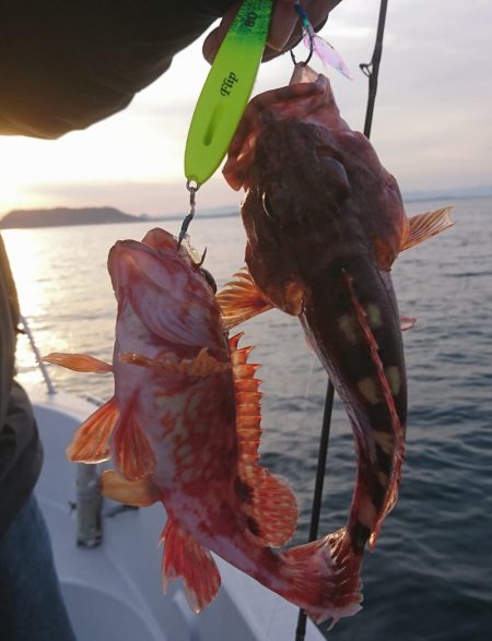 遊漁船 家入 釣果