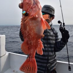 渡船屋たにぐち 釣果