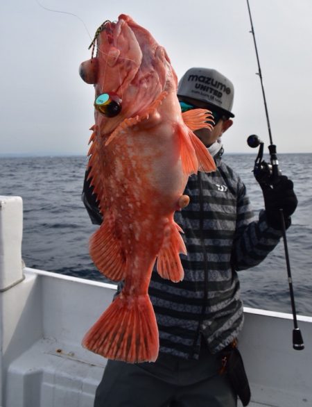 渡船屋たにぐち 釣果