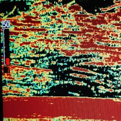 シースナイパー海龍 釣果