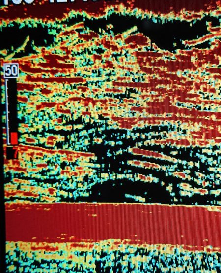 シースナイパー海龍 釣果