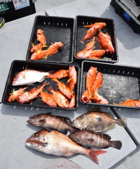 渡船屋たにぐち 釣果