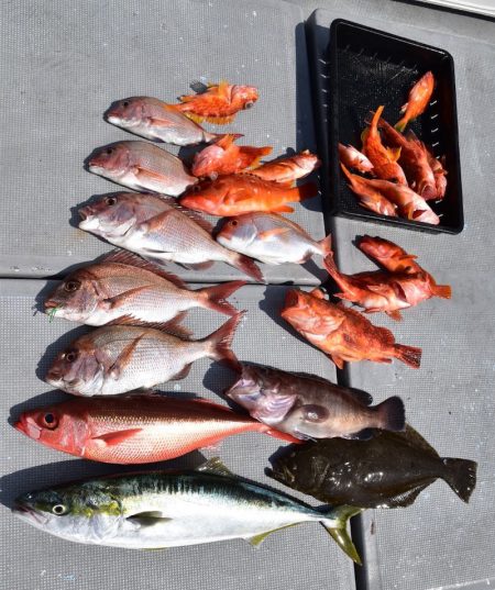 渡船屋たにぐち 釣果