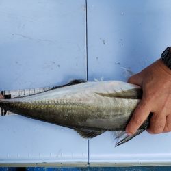 海龍丸（石川） 釣果