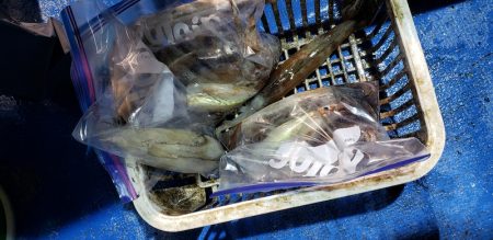 海龍丸(石川) 釣果