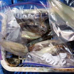 海龍丸(石川) 釣果