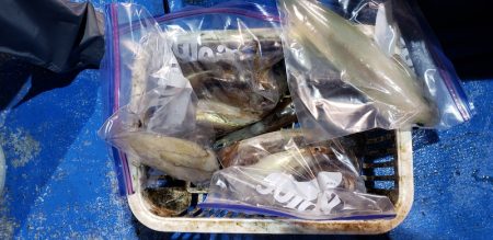 海龍丸(石川) 釣果