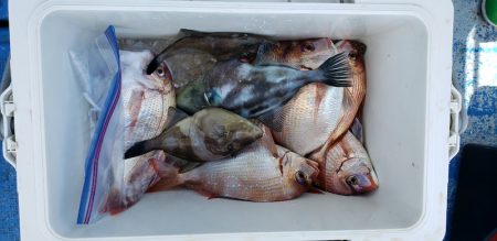 海龍丸（石川） 釣果