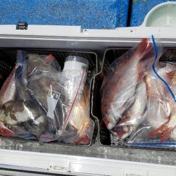 海龍丸（石川） 釣果