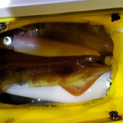 海龍丸（石川） 釣果