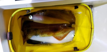 海龍丸（石川） 釣果