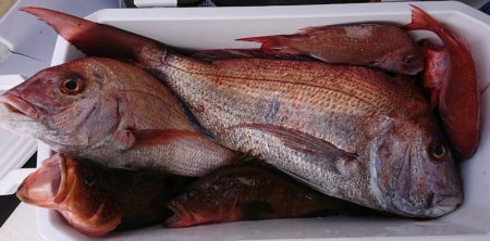 遊漁船 家入 釣果