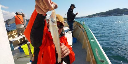 島きち丸 釣果