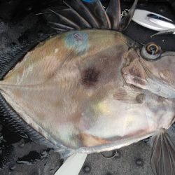 第二龍勢丸 釣果