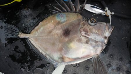 第二龍勢丸 釣果