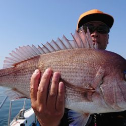 シースナイパー海龍 釣果