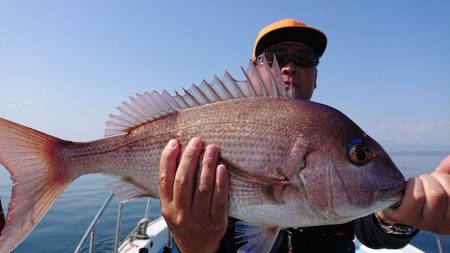 シースナイパー海龍 釣果