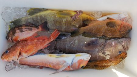 第二龍勢丸 釣果