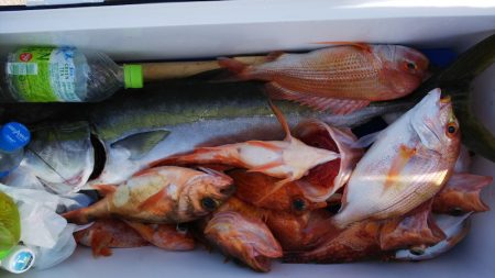 第二龍勢丸 釣果