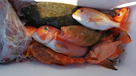 第二龍勢丸 釣果