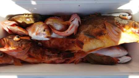 第二龍勢丸 釣果