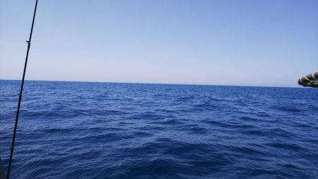 第二龍勢丸 釣果