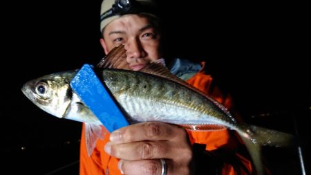 シースナイパー海龍 釣果