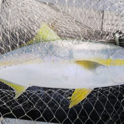 第二龍勢丸 釣果