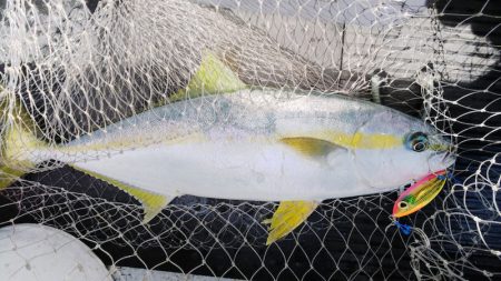 第二龍勢丸 釣果