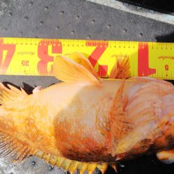 第二龍勢丸 釣果