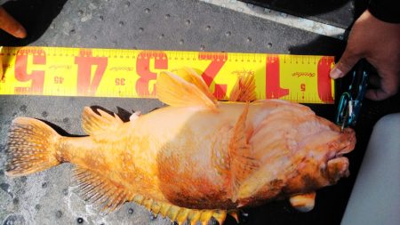 第二龍勢丸 釣果