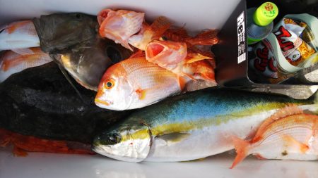 第二龍勢丸 釣果