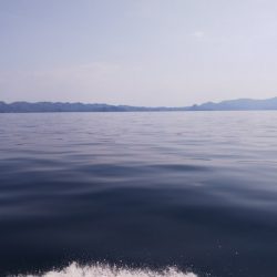 第二龍勢丸 釣果