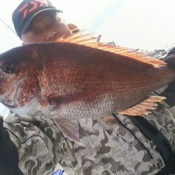 ブルドック 釣果