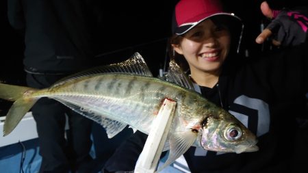 シースナイパー海龍 釣果