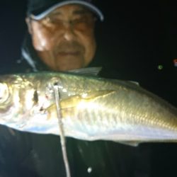 シースナイパー海龍 釣果