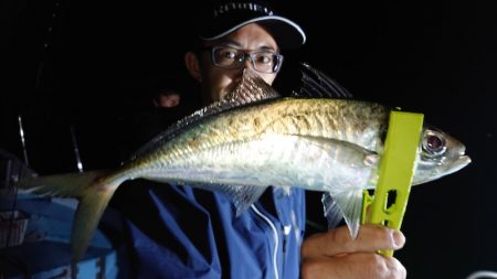 シースナイパー海龍 釣果