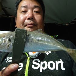 シースナイパー海龍 釣果