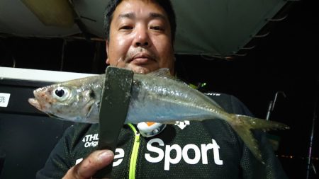 シースナイパー海龍 釣果