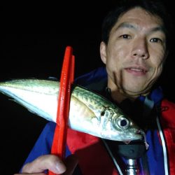 シースナイパー海龍 釣果