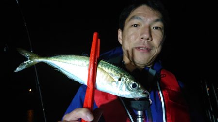 シースナイパー海龍 釣果